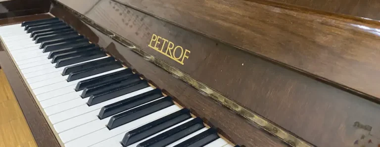 PIANO RODRIGUEZ AZORIN destacadas